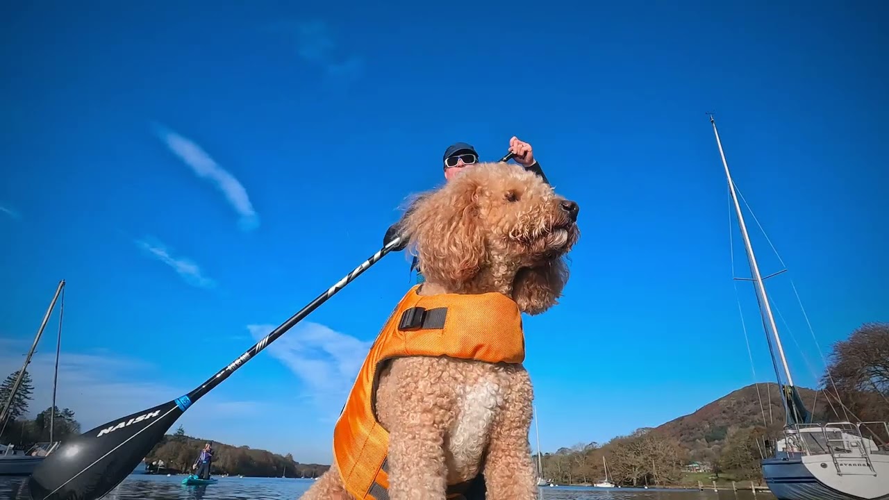 Windermere Fellfoot SUP  November 2022