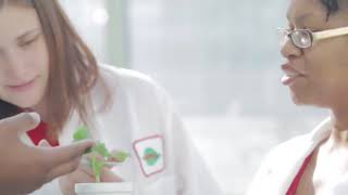 The Plant Sciences Initiative - Stewards of the Future