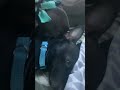Van life 07 Ford Explorer no build with dogs #ForYouPage #Viral #vanlifer