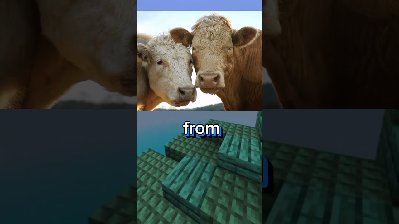 Weird facts you need to know 