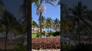 Staying at Riu Ocho Rios #travelshorts #jamaica #travel