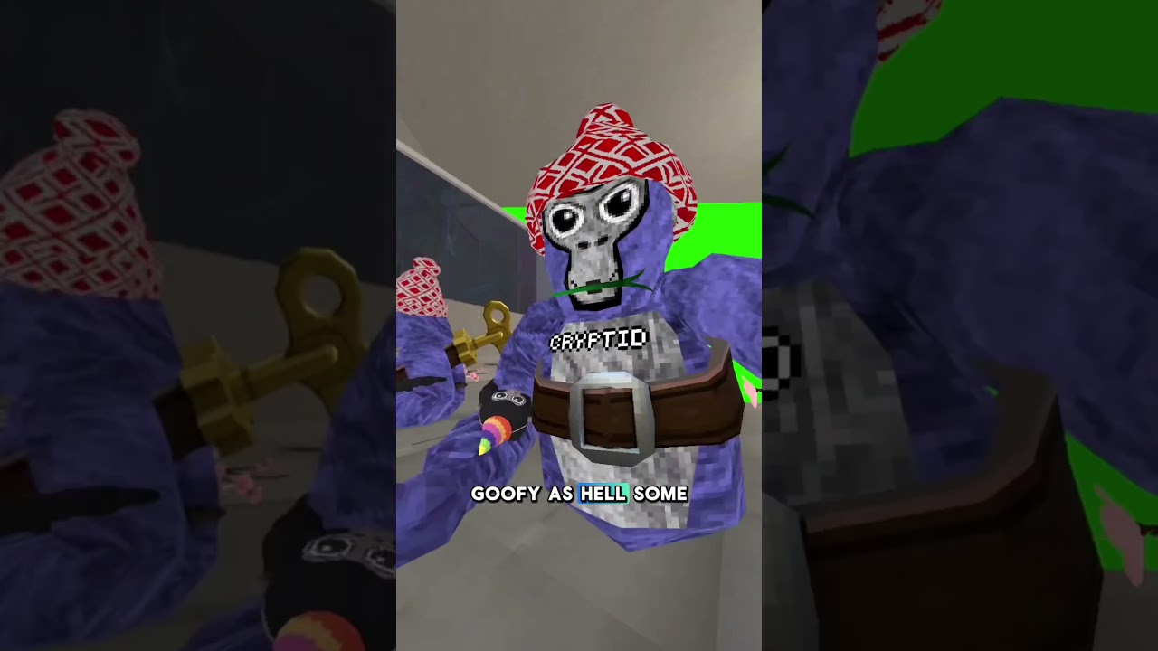 New gtag upd! #gorillatag #vr #newupdate #dougthebug
