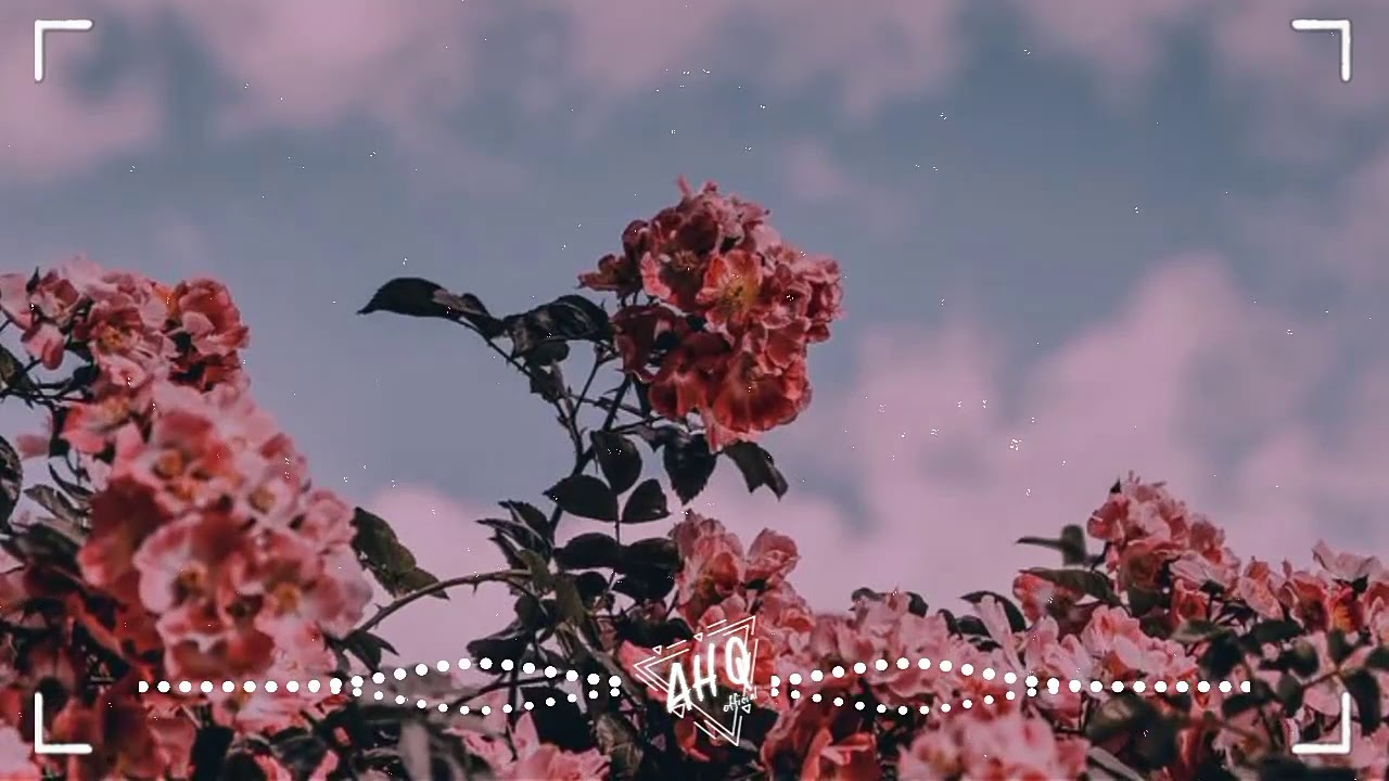 Mood - 24kGoldn ft. Iann Dior ( Ro Ryon Remix ) | Tik Tok Music ♫ | AHQ Official