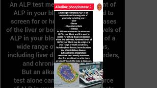 What Is Alkaline Phosphatase?..