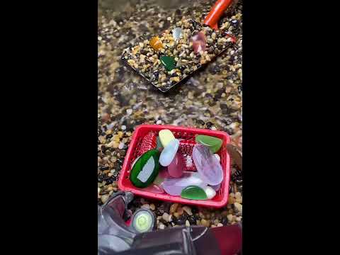 Color treasure under soil