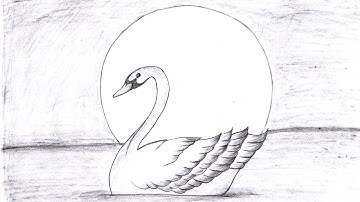 How To Draw A Swan Swimming In Water | Duck Pencil Sketch For Beginners | ANIMAL DRAWING