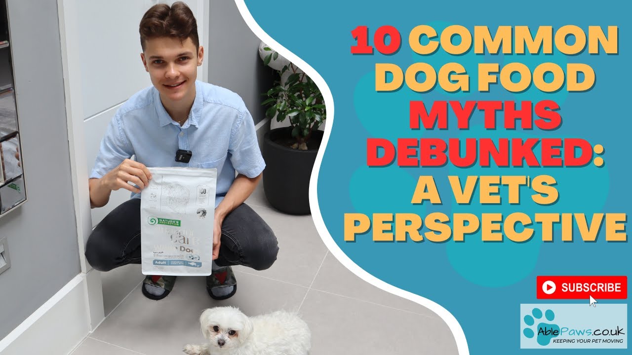 10 Common Dog Food Myths Debunked: A Vet's Perspective