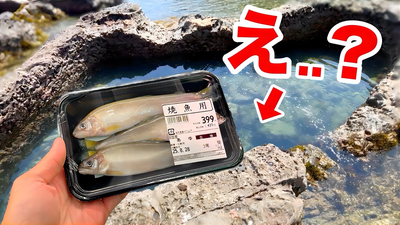 スーパーに売れ残っていたアユを沈めるとヤツが現れる...！！