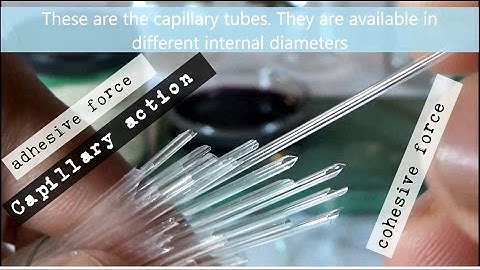 Experiment on Capillary Action or Capillarity using Capillary Tube