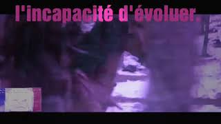 #C'est notre monde.# Les agissements des stars de la planète terre.