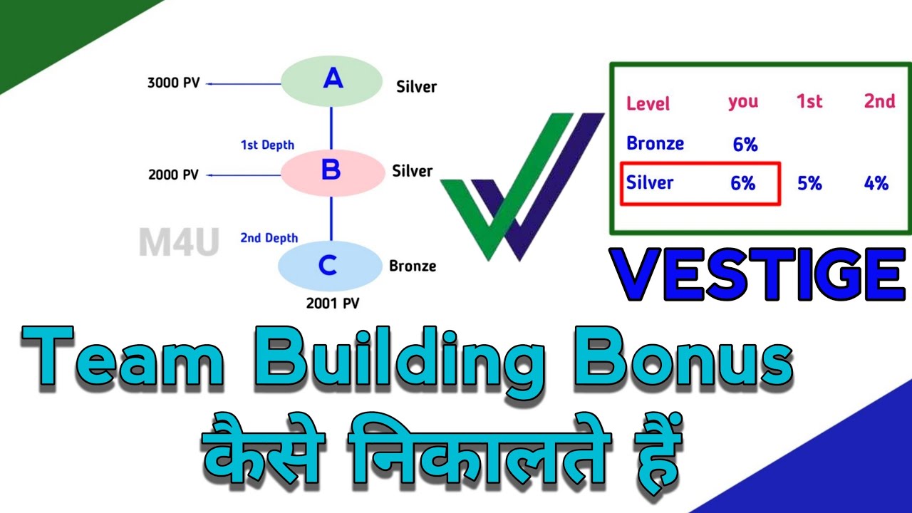 Vestige team building bonus कैसे निकालते हैं ।। vestige business plan in hindi . how to earn money