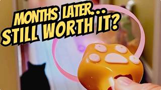Get Bored Indoor Cats Active & Running:  BABORUI Flying Disc Launcher Cat Toy Review and Demo screenshot 2