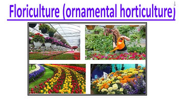 Fundamentals of Horticulture  Video No  249