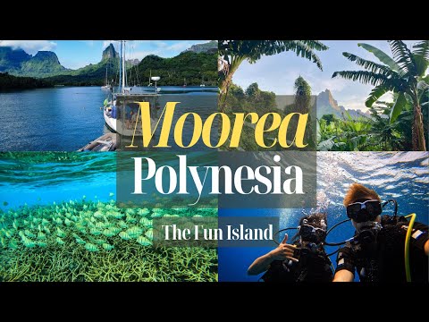 Video: Bästa stränderna på Tahiti Från Moorea till Tuamotus