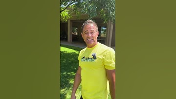 How to Get Rid of Thatch?