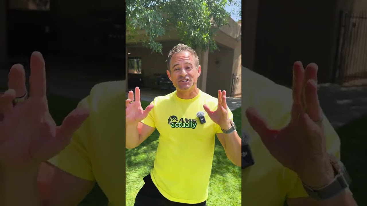 How to Get Rid of Thatch?