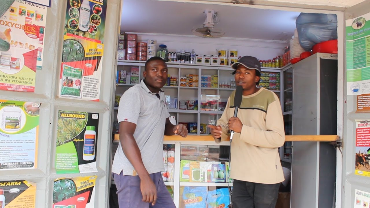 Kanda ya Ziwa -Hizi hapa  Mbegu bora za kutumia msimu huu wa kilimo