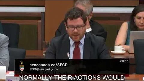 ICLMG Senate testimony on Bill C-59, the National Security Act