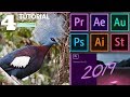 Adobe Premiere Pro -Principiantes  -Tutorial 4