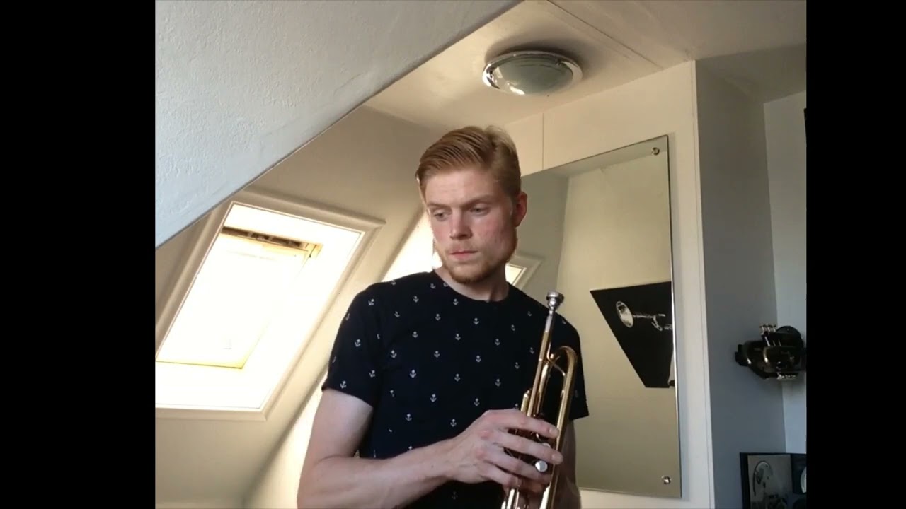 Hard To Say I´m Sorry by Chicago - Trumpet Cover