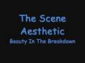 The Scene Aesthetic - Beauty In The Breakdown