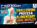 1st Year Biology Chapter 9 | Swallowing Process & Alimentary Canal Motility | A Plus Smart Studies
