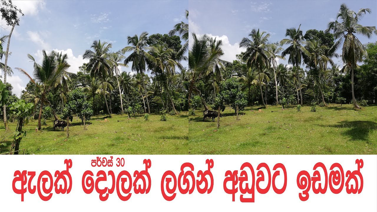 Land Sale in Sri Lanka Aduwata Gewal Idam Low Budget Land Sale in Sri Lanka YouTube