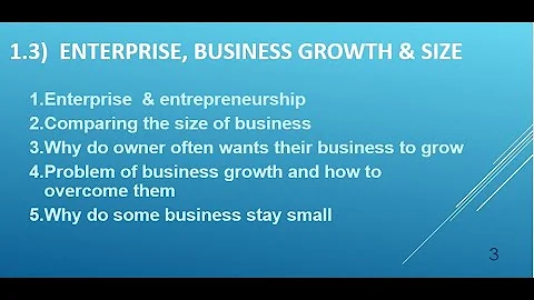 Topic 1.3  Enterprise ,  Business Growth and Size