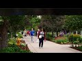 Celebrating the birds and the bees at Denver Botanic Gardens