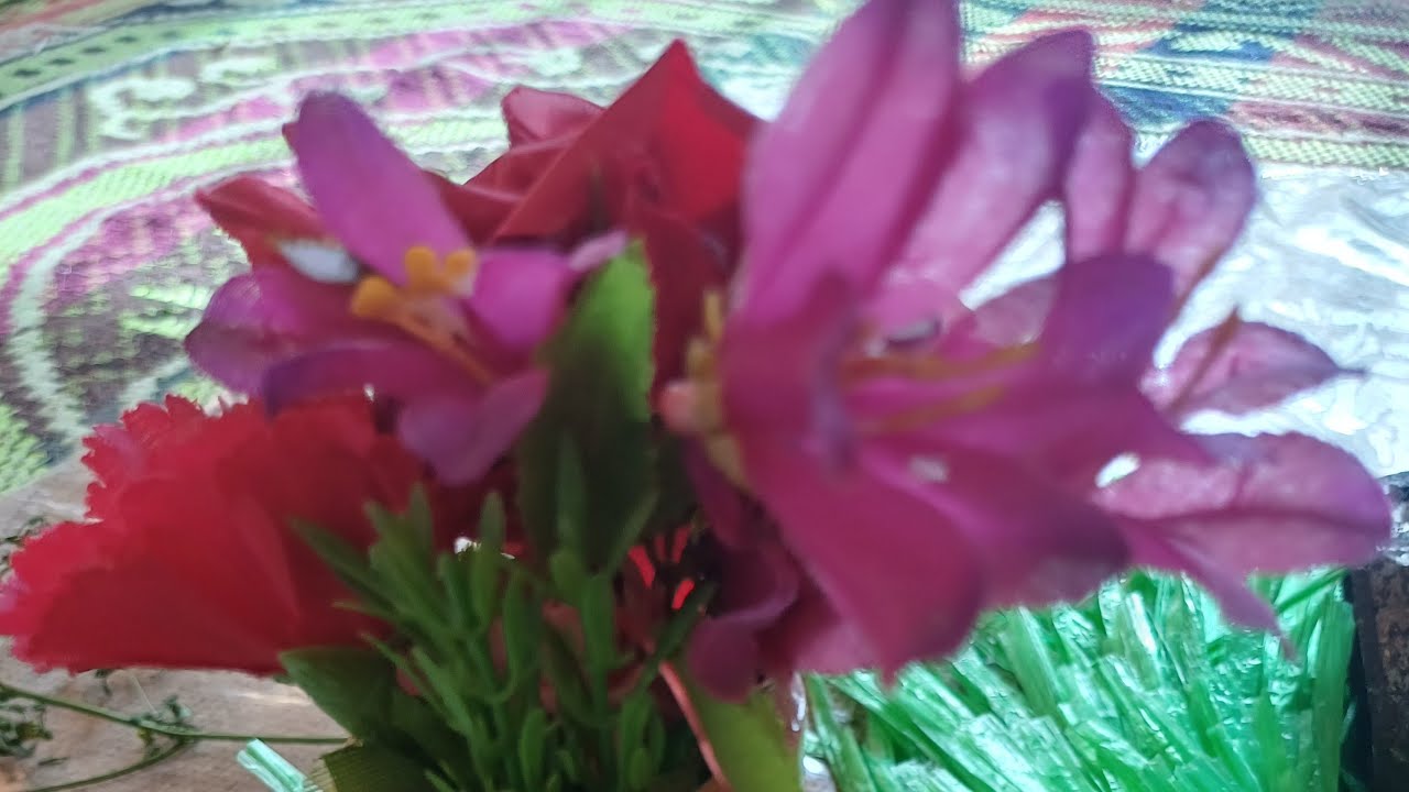 Fafee waloo  kuookn fodeሠላም ሠላም