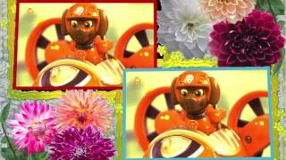 The Octonauts And Paw Patrol Rescue Marshall