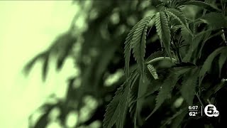 Could cannabis bring more crime? What communities with legal pot tell us