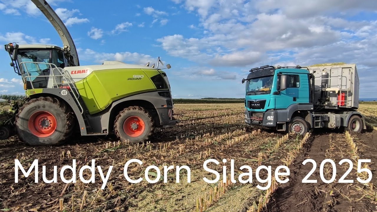 🌽 Muddy Corn Silage 🌽 Mokré siláže na Hané I. 🌧️🌽 3/4