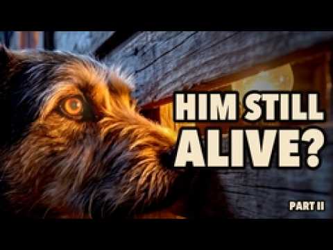 Rex Kick Down Di Cabin Door An Si Who Deh Inside 😱🇯🇲 · Red Dirt Lane · Jamaican Comedy Series
