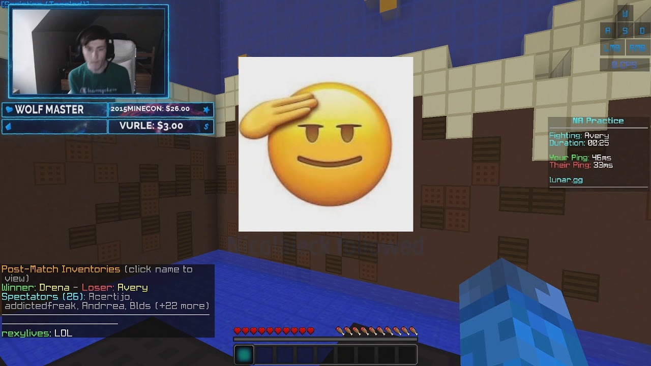 Overly Energetic Gamer Beats Avery In 128 Man Sumo Tournament [Stream Highlights]