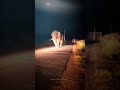 #shorts #elephant #viral #status #shots #trending #viral #status #shots #whatsapp #elephantshorts#
