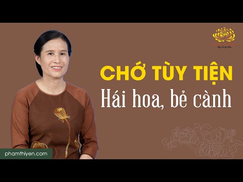 Video Cẩn thận kẻo rước họa vào thân vì tùy tiện hái hoa, bẻ... - youtube