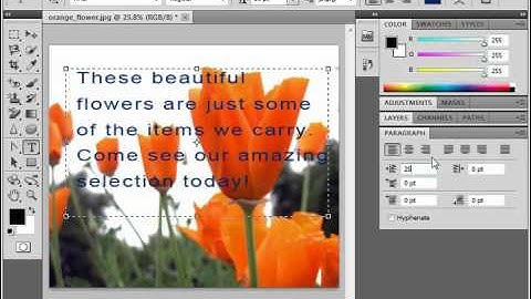 Photoshop CS5 Tutorial Using the Paragraph Panel Adobe Training Lesson 11.9