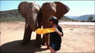 Terrible Towel Around The World