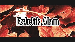 Cinematic Estetik Alam || Sinematik Alam 1 menit