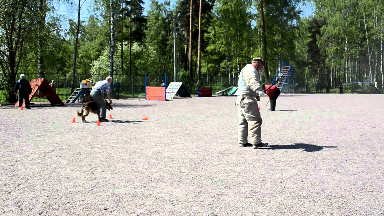 DSC 0746 - YouTube
