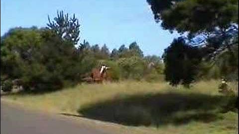 OurHouse_Part001of002