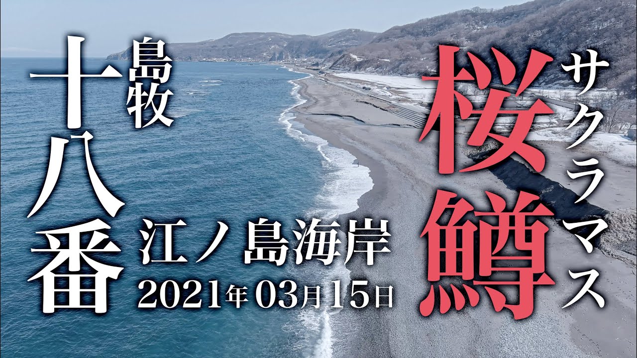桜鱒釣り 3月15日 北海道 島牧村 江ノ島海岸 18番 空撮 海サクラマス Youtube 桜鱒釣り 3月15日 北海道 島牧村 江ノ島海岸 18番 空撮 海サクラマス Youtube