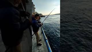 Kozguncokta Balik Yakaliyuruz Bir Zamanlar