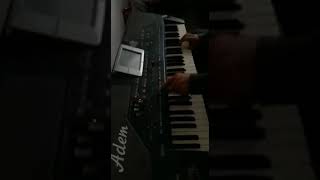 Korg Pa800 Duygusal Damar Türkü Resimi