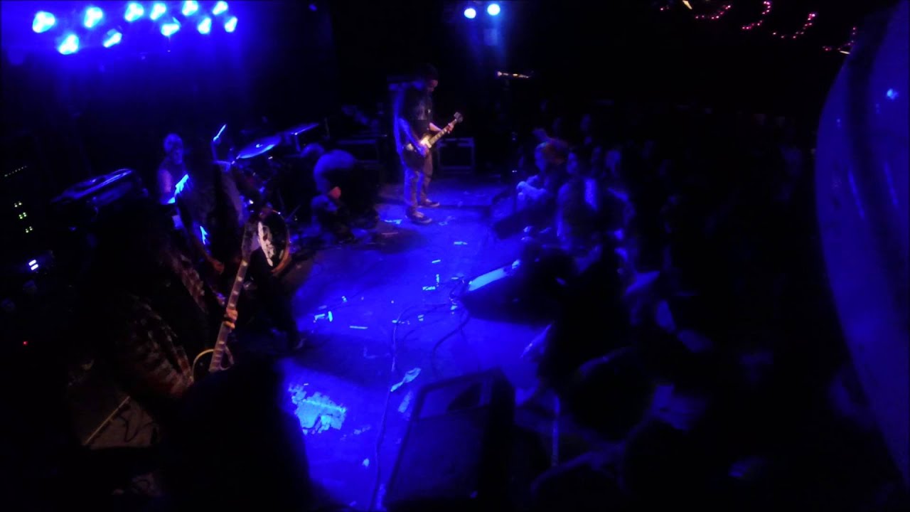 rotting out at beat kitchen