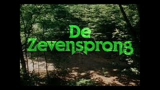 De Zevensprong  Aflevering 8  Geertjan Grisenstijn