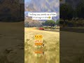 Trolling Low Levels as a Fake Fruit Sign in GTA V 😂 #gta #gtaviral #gta5 #gtafiveonline