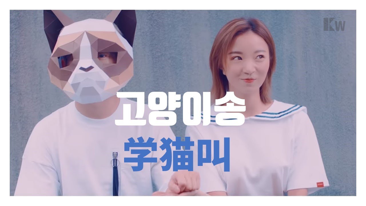 고양이송(学猫叫)_중국음악 (병음표기,가사해석)