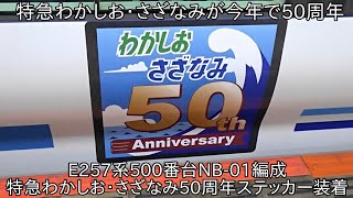 【今年で50周年】E257系500番台NB-01編成 房総特急さざなみ・わかしお50周年ステッカー装着して運行 ~2023年3月中旬まで運行予定~